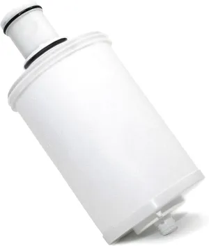 100186 Replacement Water Filter Compatible with Amway espring Water Filter, High-Precision Filtration Allow Calcium, Magnesium, Beneficial Minerals Pass
