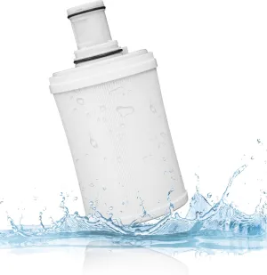 100186 Water Filter Cartridge for Amway Espring Water Filter, 3-in-1 Water Filter Replacement Part, 6 Levels Filtration for Removing Odors Heavy Metal Residual Chlorine in Water