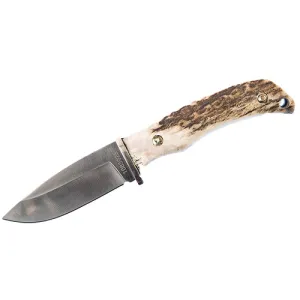 2202uh Stag 6.25" D2 W-leather