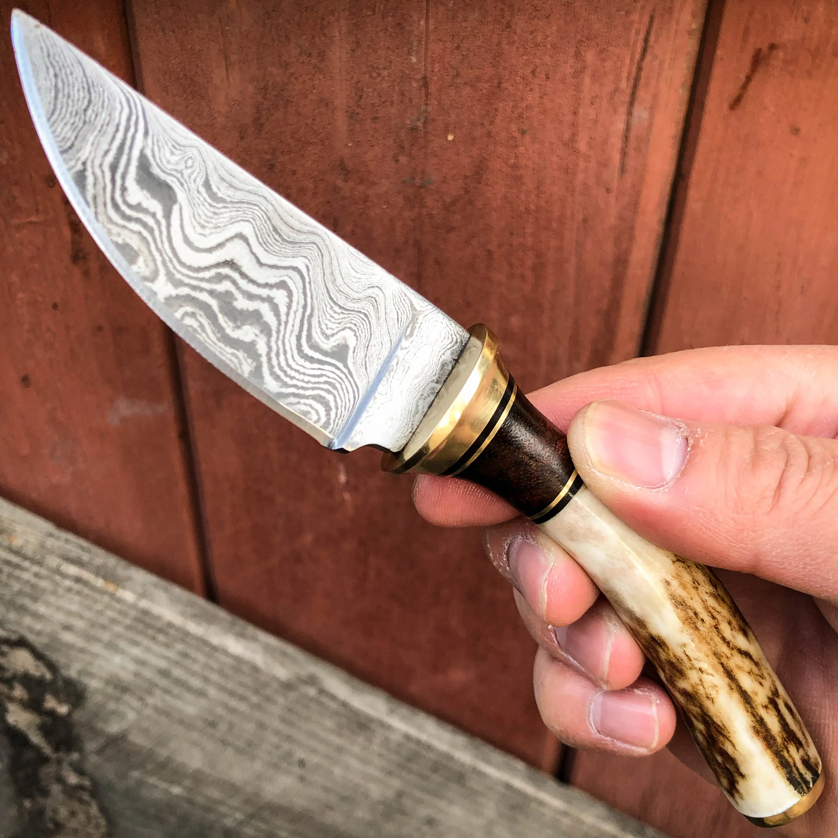 7.25" Survival Hunting Damascus FIXED BLADE Skinner Knife w Stag Bone Handle NEW
