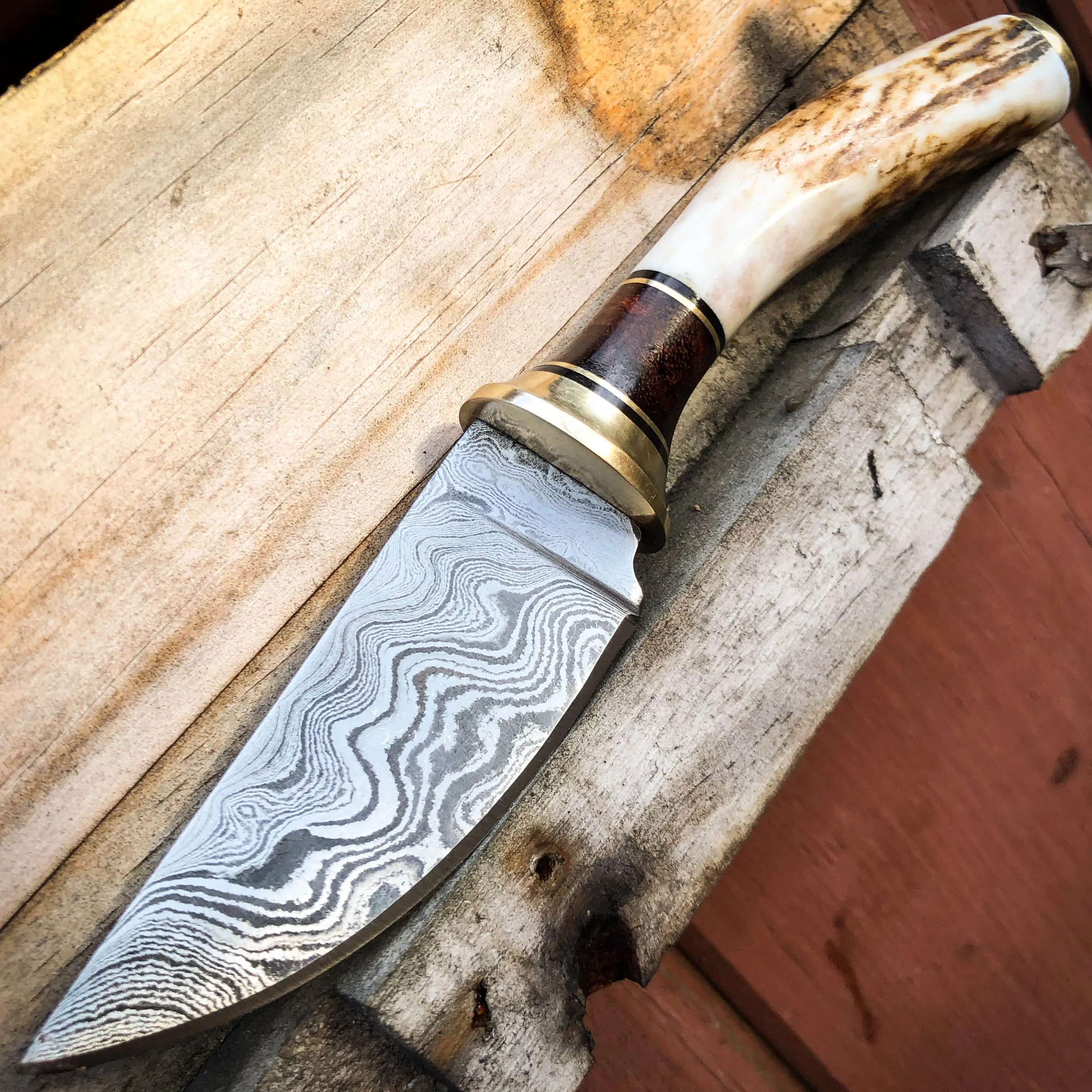 7.25" Survival Hunting Damascus FIXED BLADE Skinner Knife w Stag Bone Handle NEW