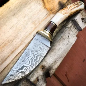 7.25" Survival Hunting Damascus FIXED BLADE Skinner Knife w Stag Bone Handle NEW
