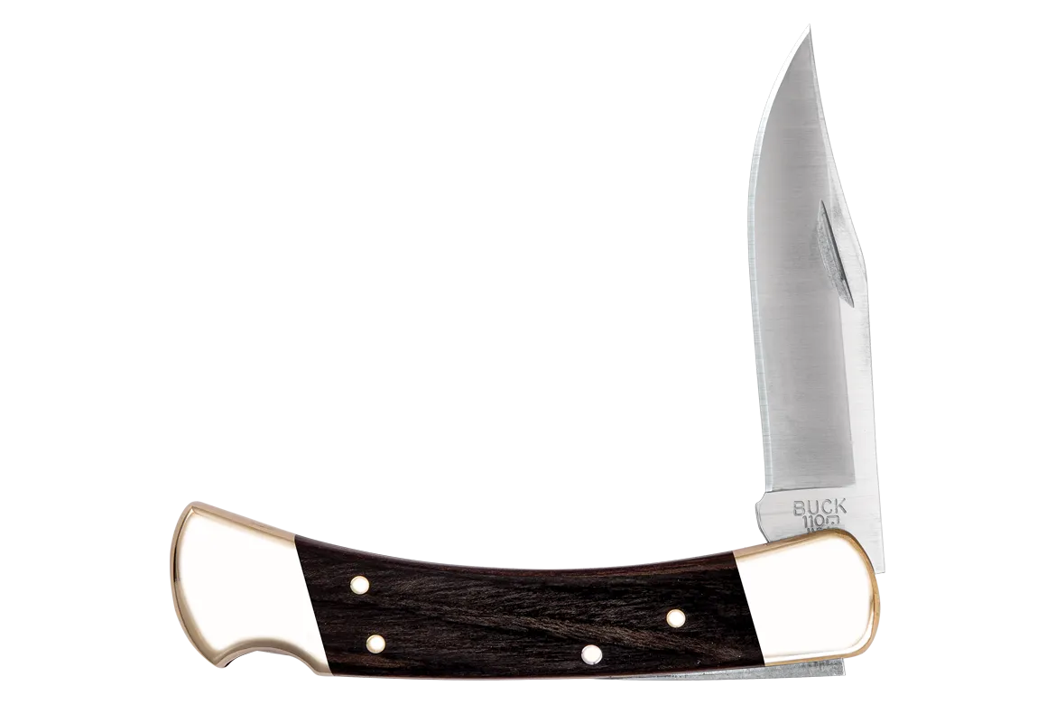 Buck Folding Hunter Knife