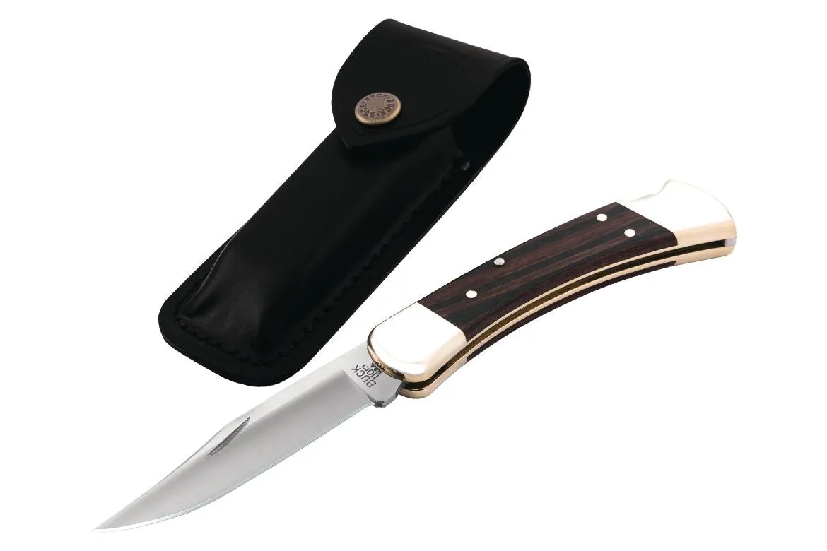 Buck Folding Hunter Knife