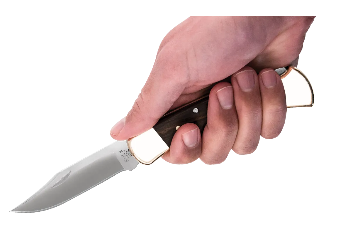 Buck Folding Hunter Knife