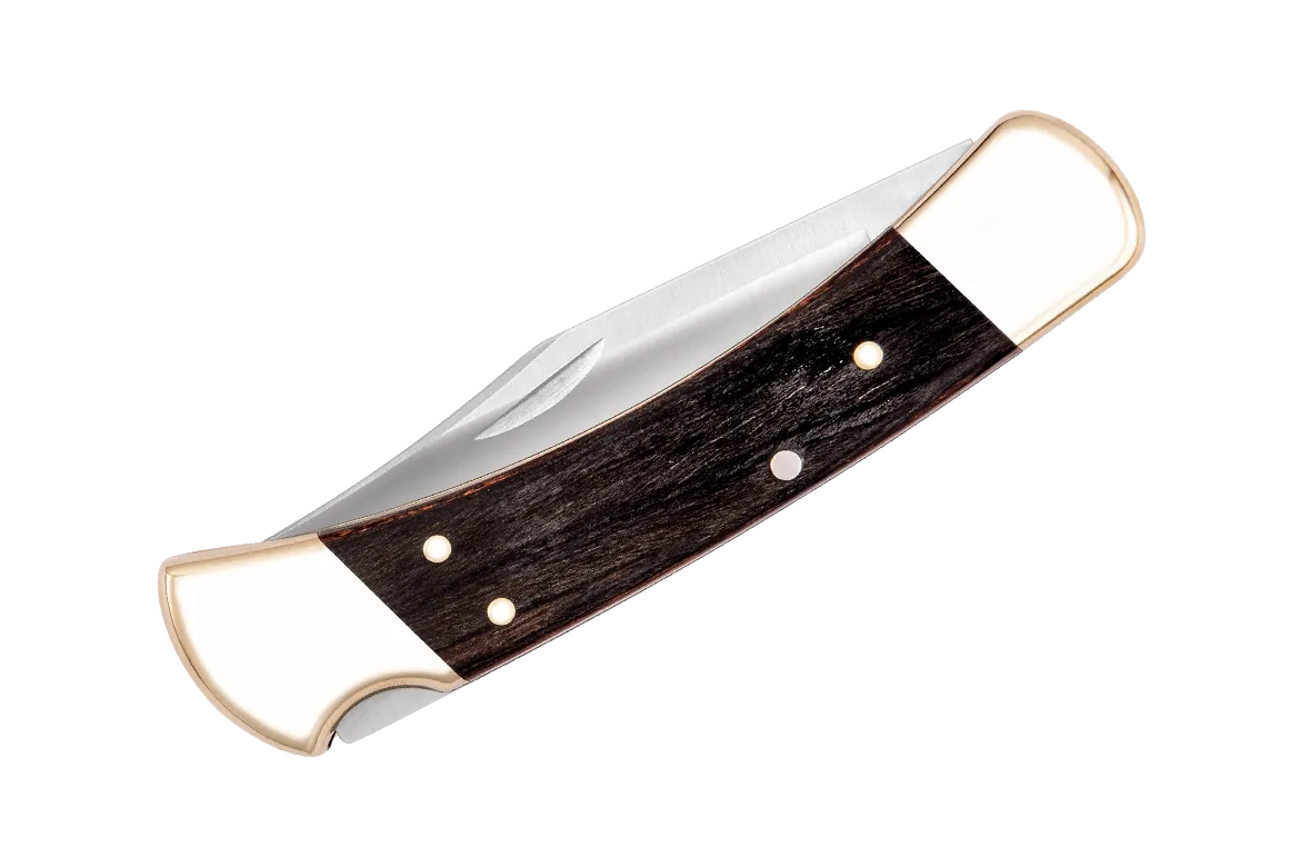 Buck Folding Hunter Knife