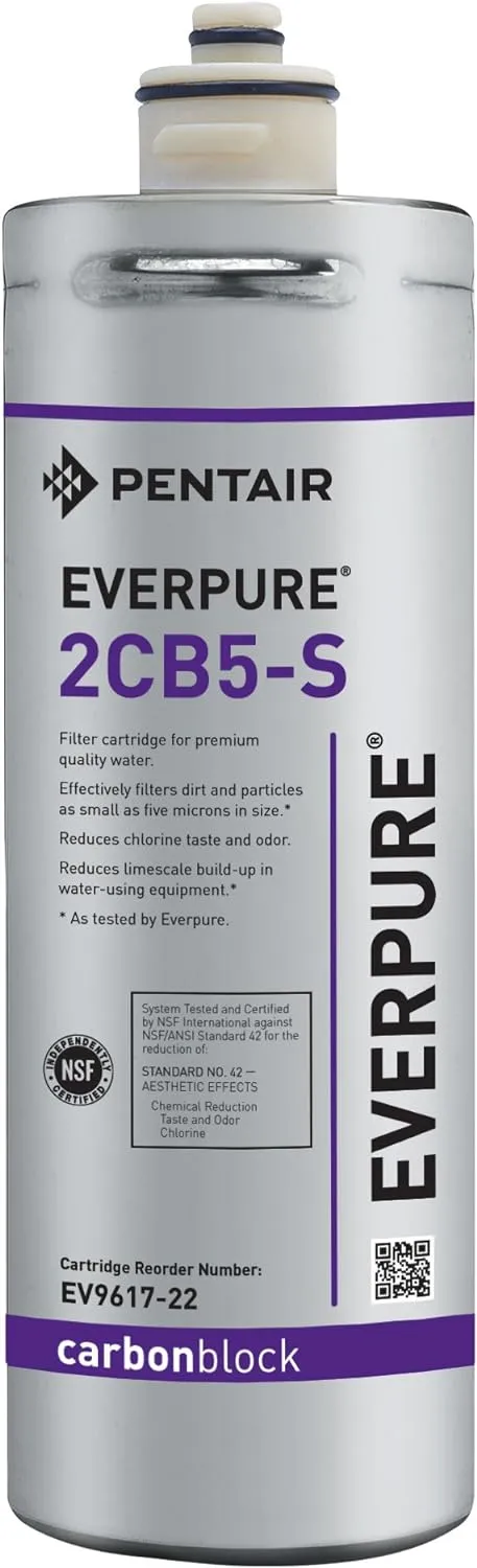 Everpure Replacement EV9617-22 2CB5-S Filter Cartridge, 1 Count (Pack of 1), Gray