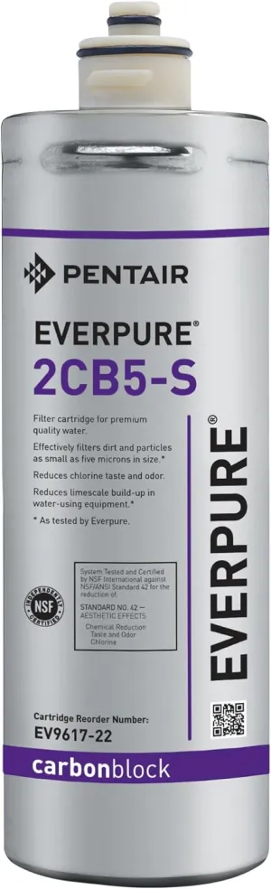 Everpure Replacement EV9617-22 2CB5-S Filter Cartridge, 1 Count (Pack of 1), Gray