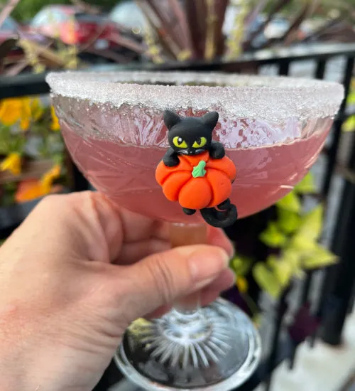 Halloween Fun Magnetic Wine Glass Charms