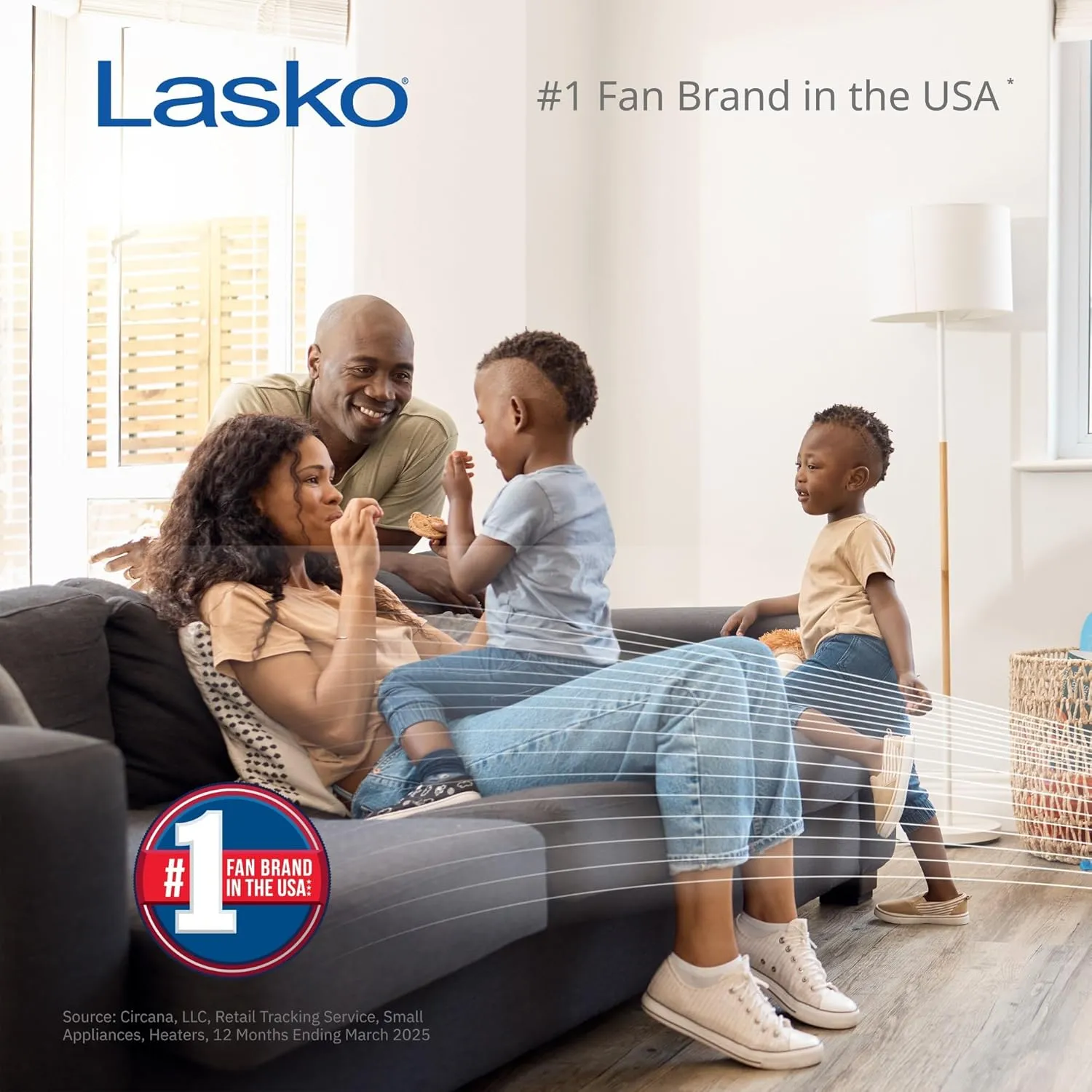 Lasko Air Flex 20" 2-in-1 Box Fan and Air Purifier in One with MERV10 Air Purifying Filter for Cleaner and Cooling Breeze, 3 Speeds, Steel Body, FF305