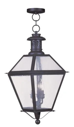 Livex Waldwick 3 Light Bronze Outdoor Chain Lantern  - C185-2049-07