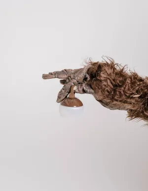 Mini Hozuki in Bark