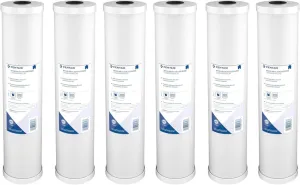 Pentair Pentek RFC-20BB Big Blue Carbon Water Filter, Whole House Heavy Duty Radial Flow Carbon Replacement Cartridge with Granular Carbon (GAC) Filter, 20" x 4.5", 25 Micron, Pack of 6, White