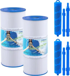PWK35B Spa Filter and Hot Tub Mineral Stick Bundle