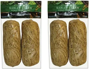 Summit 130 Clear-Water Barley Straw Bales, 2 Packs of 2-4 Total