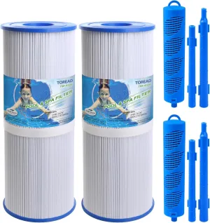 TOREAD PRB25-IN Spa Filter and Hot Tub Mineral Stick Bundle