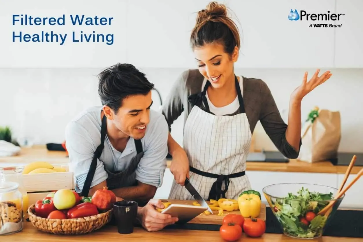 Watts OFPSYS OneFlow Plus Whole House Water Filter System & Water Softener   Watts Premier Whole House 50-Micron Sediment Water Filtration Kit