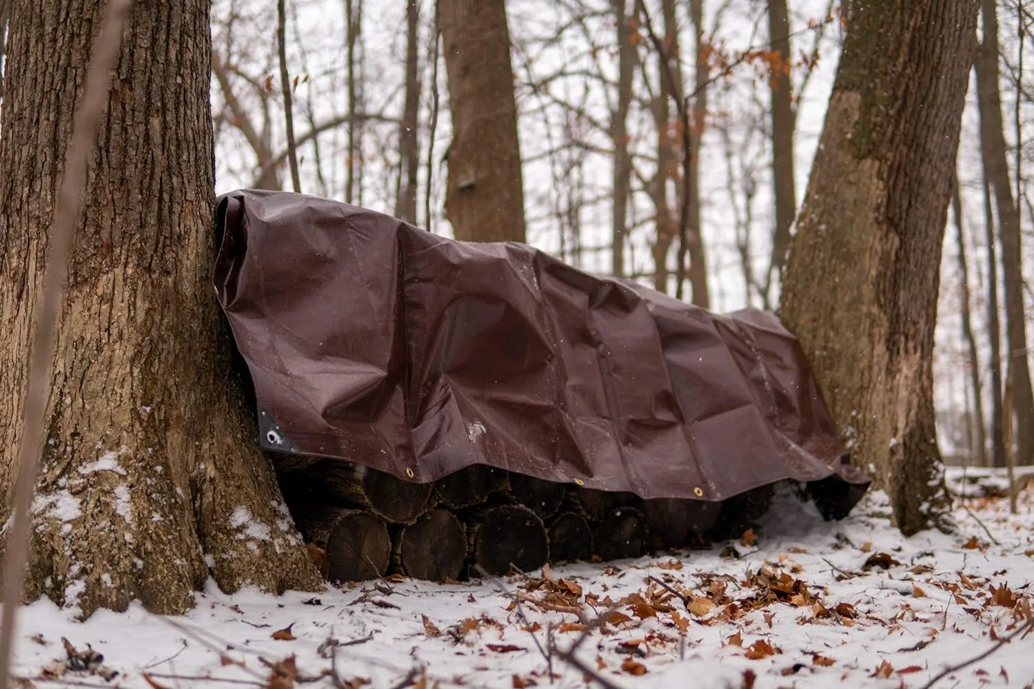 WHITEDUCK Super Heavy Duty Poly Tarp Cover 16 Mil & 10 Mil with Grommets and Reinforced Edges (Brown, White & Silver Black) (Brown- 16 Mil, 10' x 10')